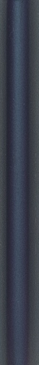 Matte violet-blue chameleon