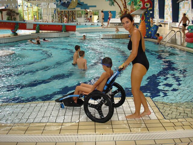 Hippocampe Piscina