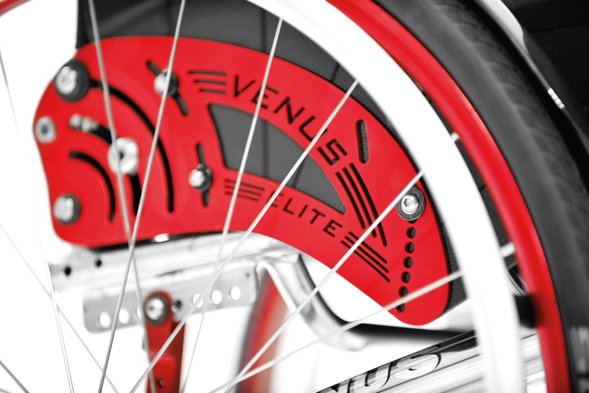 Venus Elite — In detail